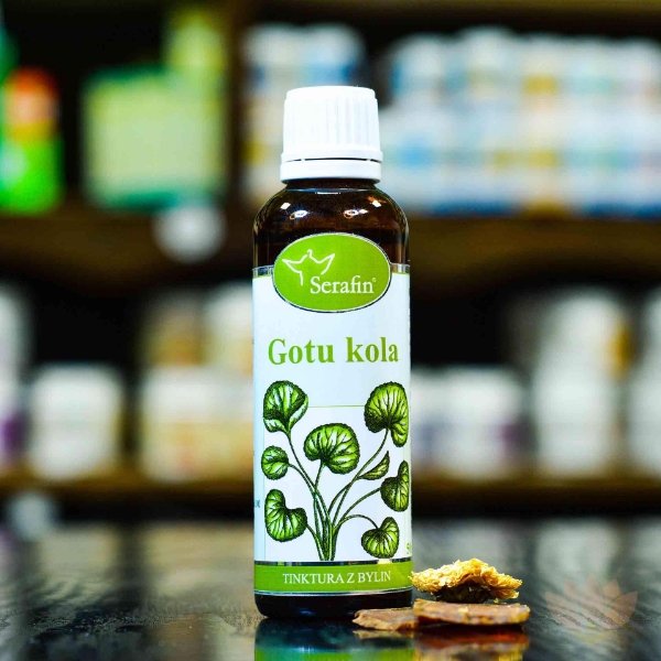 Serafin – byliny s.r.o. Gotu kola - tinktura z bylin 50ml – osobní odběr v Pardubicích a Jihlavě