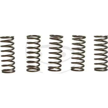 Sada spojkových pružin KAWASAKI KX 450 F rok 05-11