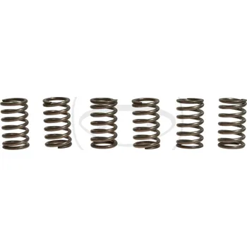 Sada spojkových pružin KTM 690 Supermoto, R rok 07-09