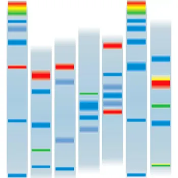Diagnostický test Komplexní test výživy PLUS