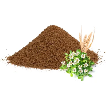 Káva Čekanková káva se špaldou a brahmi, 50g