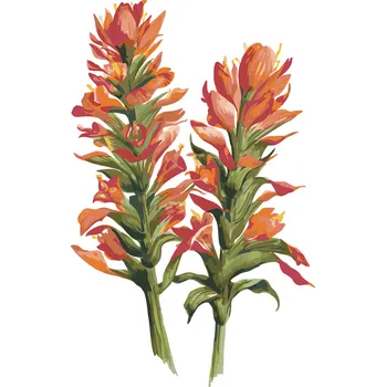 ZUTY Malování podle čísel - KVĚTINA S ČERVENÝMI KVĚTY (ALEXANDRIA GILBERT) Rozměr: 40x50 cm, Rámování: bez rámu a bez vypnutí plátna