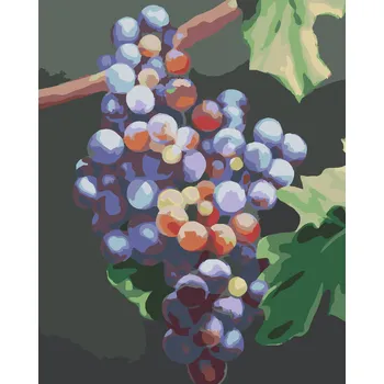 ZUTY Malování podle čísel - MODRÉ HROZNO (MYROSLAVA VOLOSCHUK) Rozměr: 40x50 cm, Rámování: bez rámu a bez vypnutí plátna