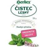 HERBEX čistec lesních sypaný 30 g