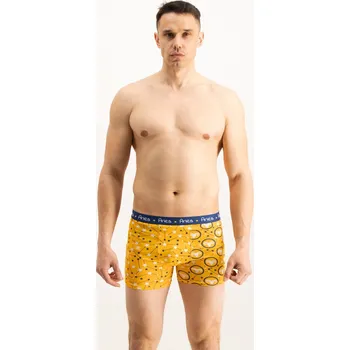 Pánské spodní prádlo Pánské boxerky Frogies Zodiac Beran Frogies žlutá 1574911