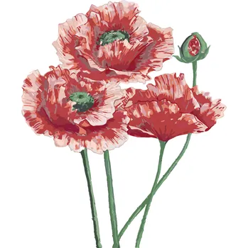 Hračka ZUTY Malování podle čísel - VLČÍ MÁK TŘI KVĚTY (ALEXANDRIA GILBERT) Rozměr: 40x50 cm, Rámování: bez rámu a bez vypnutí plátna