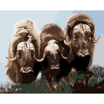 ZUTY Malování podle čísel - BIZONI (D. RUSTY RUST) Rozměr: 40x50 cm, Rámování: bez rámu a bez vypnutí plátna