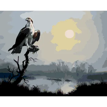 ZUTY Malování podle čísel - OREL NA VĚTVI A SLUNCE (D. RUSTY RUST) Rozměr: 40x50 cm, Rámování: bez rámu a bez vypnutí plátna