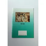 Sešit školní 5110 bezdřevý čtvereček