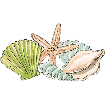 ZUTY Malování podle čísel - MOŘSKE MUŠLE A HVĚZDICE (HALEY BUSH) Rozměr: 40x50 cm, Rámování: bez rámu a bez vypnutí plátna