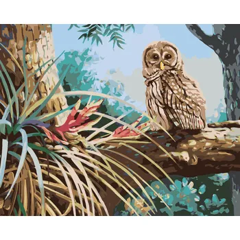 ZUTY Malování podle čísel - SOVA V LESE (D. RUSTY RUST) Rozměr: 40x50 cm, Rámování: bez rámu a bez vypnutí plátna