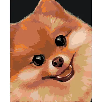 ZUTY Malování podle čísel - POMERANIAN (MYROSLAVA VOLOSCHUK) Rozměr: 40x50 cm, Rámování: bez rámu a bez vypnutí plátna