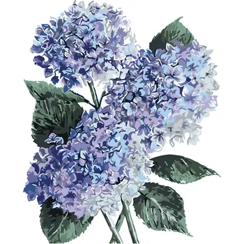 ZUTY Malování podle čísel - MODRÉ HORTENZIE (ALEXANDRIA GILBERT) Rozměr: 40x50 cm, Rámování: vypnuté plátno na rám
