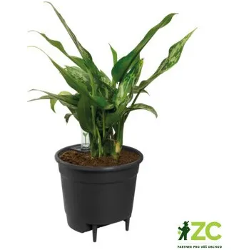 Obal na květináč Vložka samozavlažovací - 24 cm