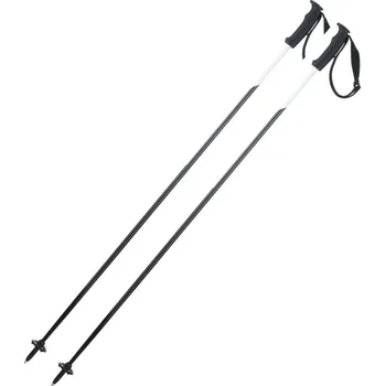 Sjezdové lyžování Elan Porsche Design 2020/21 130 cm