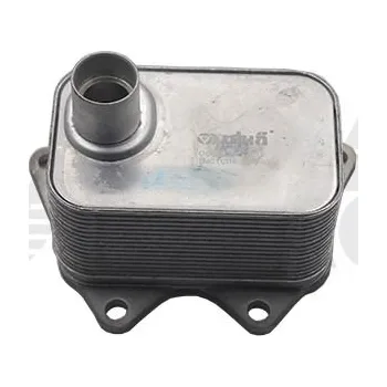 Motor automobilu Olejový chladič, motorový olej VIKA 11170597901