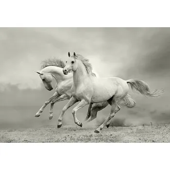 Plakát Plakát, Obraz - white horses run, mari_art