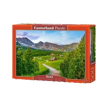 Puzzle Puzzle 500 Trail in Tatras CASTOR