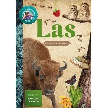 Bystrá hlava Młody Obserwator Przyrody - Las w.2022 - Hanna Będkowska