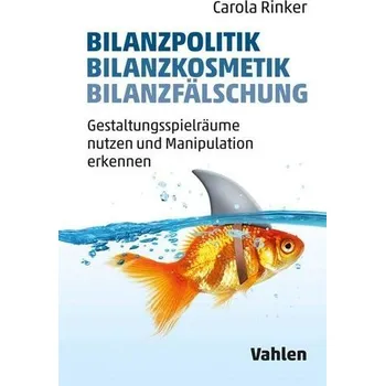 Bilanzpolitik - Bilanzkosmetik - Bilanzfälschung - Rinker, Carola