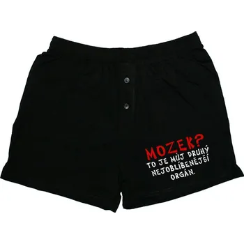 Trenýrky Pánské trenýrky Mozek? - velikost L