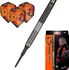 Šipka Target Darts Raymond van Barneveld G3 2020 Soft 20 g