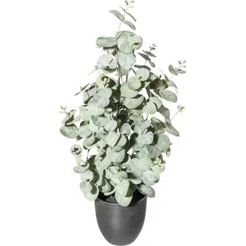 umělá květina Umělá rostlina eukalyptus cca 60 cm zelenošedá v plastovém květináči 13,5 x 13 cm se zeminou