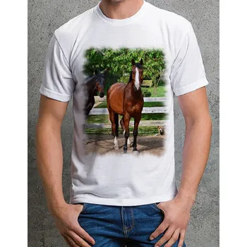 Chlapecké tričko tričko s koněm č. 25 XL