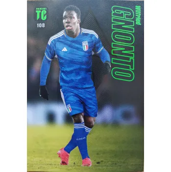 Sběratelská karetní hra Wilfried Gnonto