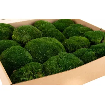 umělá květina Stabilizovaný mech, ball moss natural green