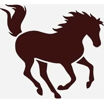 Plastová šablona, MOTIV KONĚ 8, 15x15 cm, 1 kus