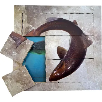 Puzzle Just Jigsaws Losos a jeho životní cyklus - dřevěné vrstvené puzzle