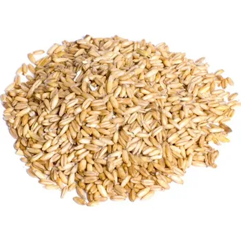 Pro ptáka Oves nahý 10 kg