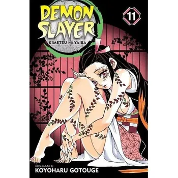 Komiks pro dospělé Demon Slayer: Kimetsu no Yaiba 11