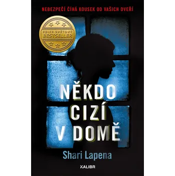 Kniha Někdo cizí v domě