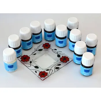 Speciální výtvarná barva Vitrážní barvy DARWI GLASS bez vypalování 30 ml karmínově červená 420