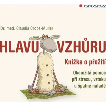Kniha Hlavu vzhůru