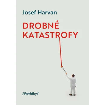 Drobné katastrofy