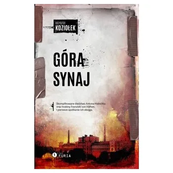 Góra Synaj - Krzysztof Koziołek [PL] (2024, Brožovaná, Manufaktura Tekstów)