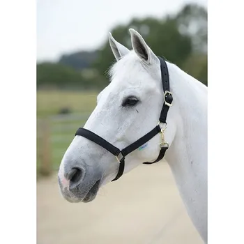 Ohlávka BUCAS Dublin, černá, vel. PONY (AP 25 DOPRODEJ)