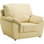 Křeslo DALLAS kůže/ekokůže