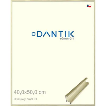 Rám na obraz DANTIK rámeček 40x50 | ALU profil 7001 zlatá lesklá alternativa (Plexi Čiré) (Vyrobeno s láskou u nás v DANTIKU)