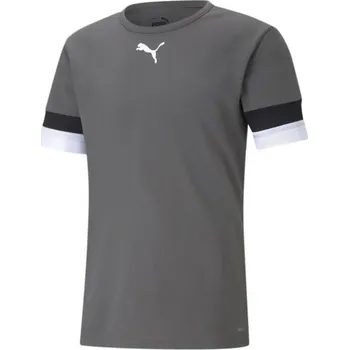 Sport Pánské tréninkové tričko Puma DryCELL Smoked Grey, S i476_10939728