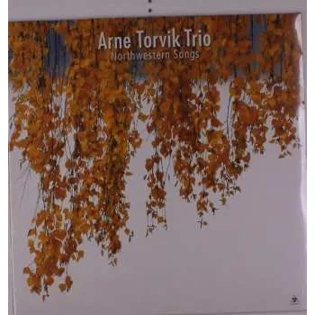 Zahraniční hudba LP Arne Torvik Trio: Northwestern Songs 2021 180g Vinyl