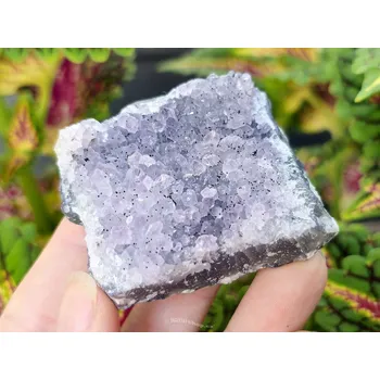 Přírodní kámen Ametyst drúza (91g) Brazílie