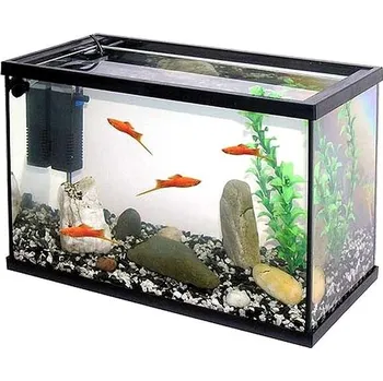 Cat-gato Pacific Kid 40 20 l