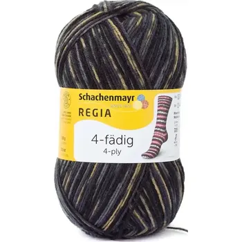 Příze Regia 4-Ply Color 7711 schlittschuh color (Ponožková příze Regia 7711 schlittschuh color)