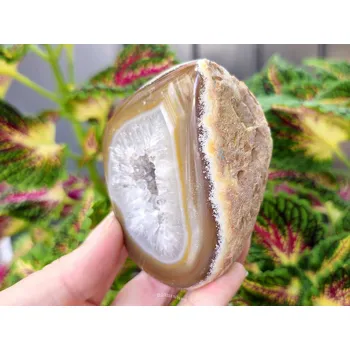 Přírodní kámen Achát hnědý geoda s dutinkou 304g (Brazílie)