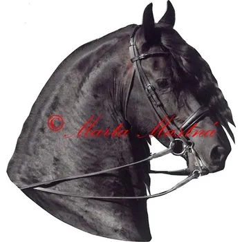 Samolepka frís Pieter van Diphoorn, kůň, koně 53