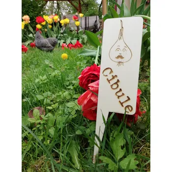 Zahradní dekorace Zápich Cibule